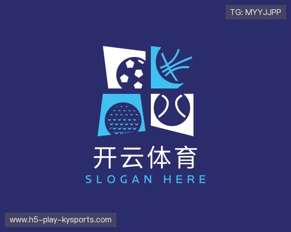 介绍开云入口平台