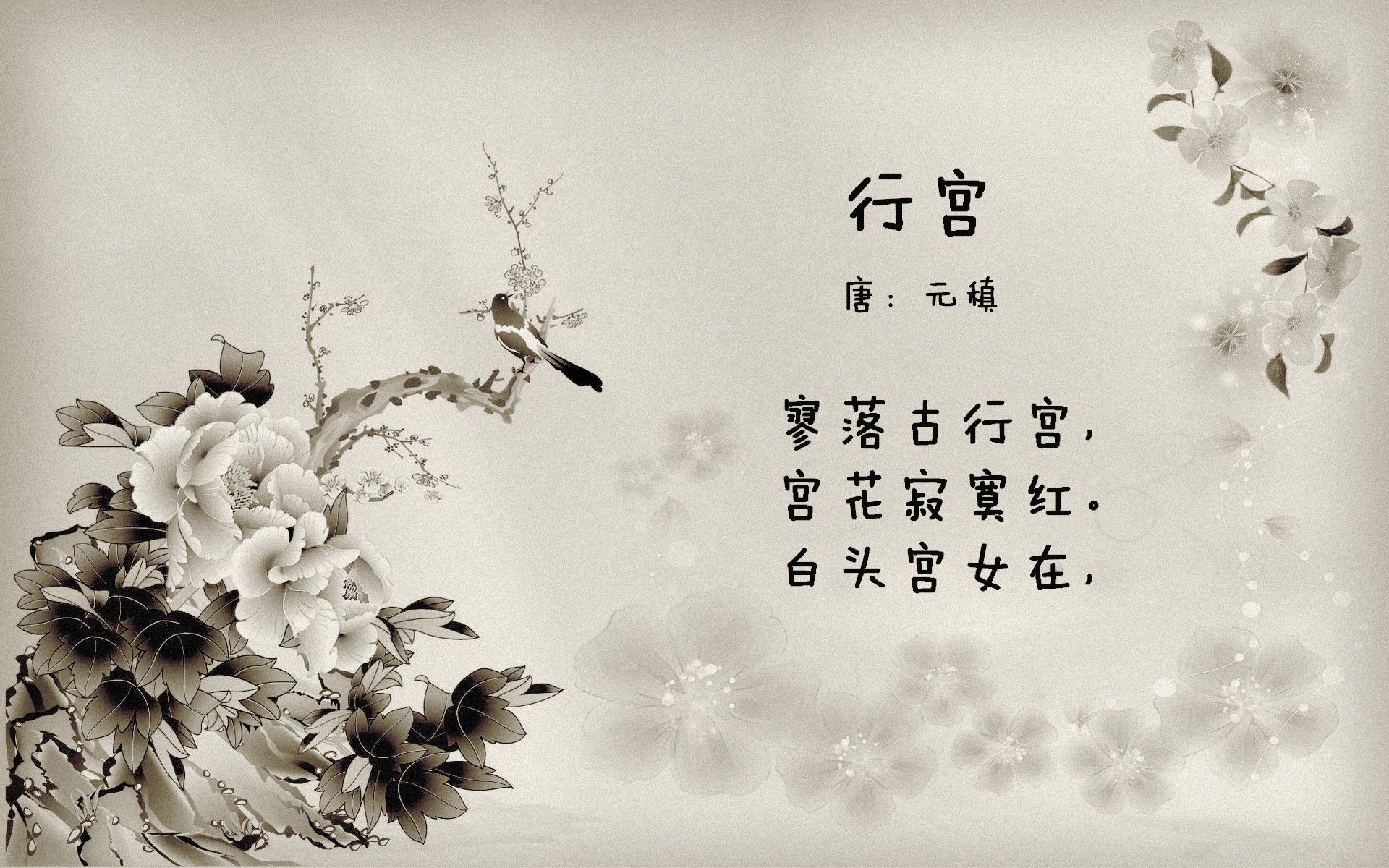 Chinese Taipei团队未来发展：从青训到职业赛场的全面布局，chinese台北是什么意思