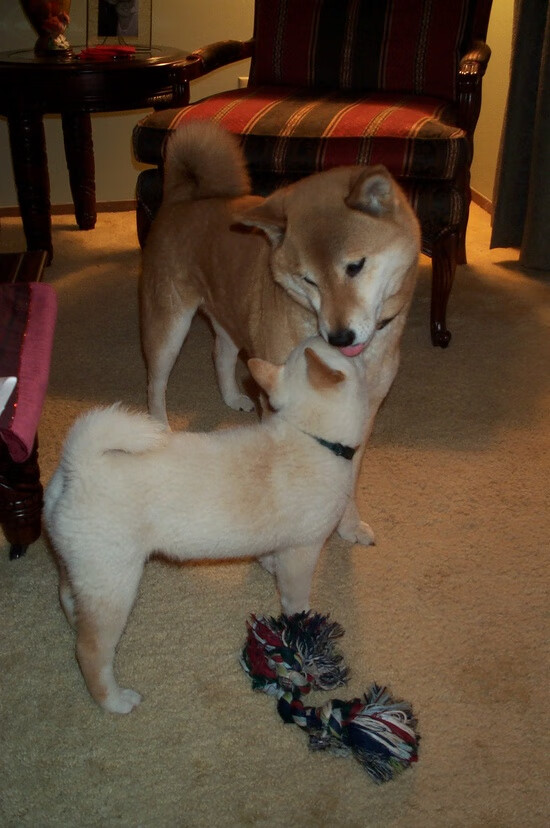 开云体育登录网站入口-印度乒乓队未来：持续深化技术细节，追求无懈可击，印度乒乓球水平怎么样