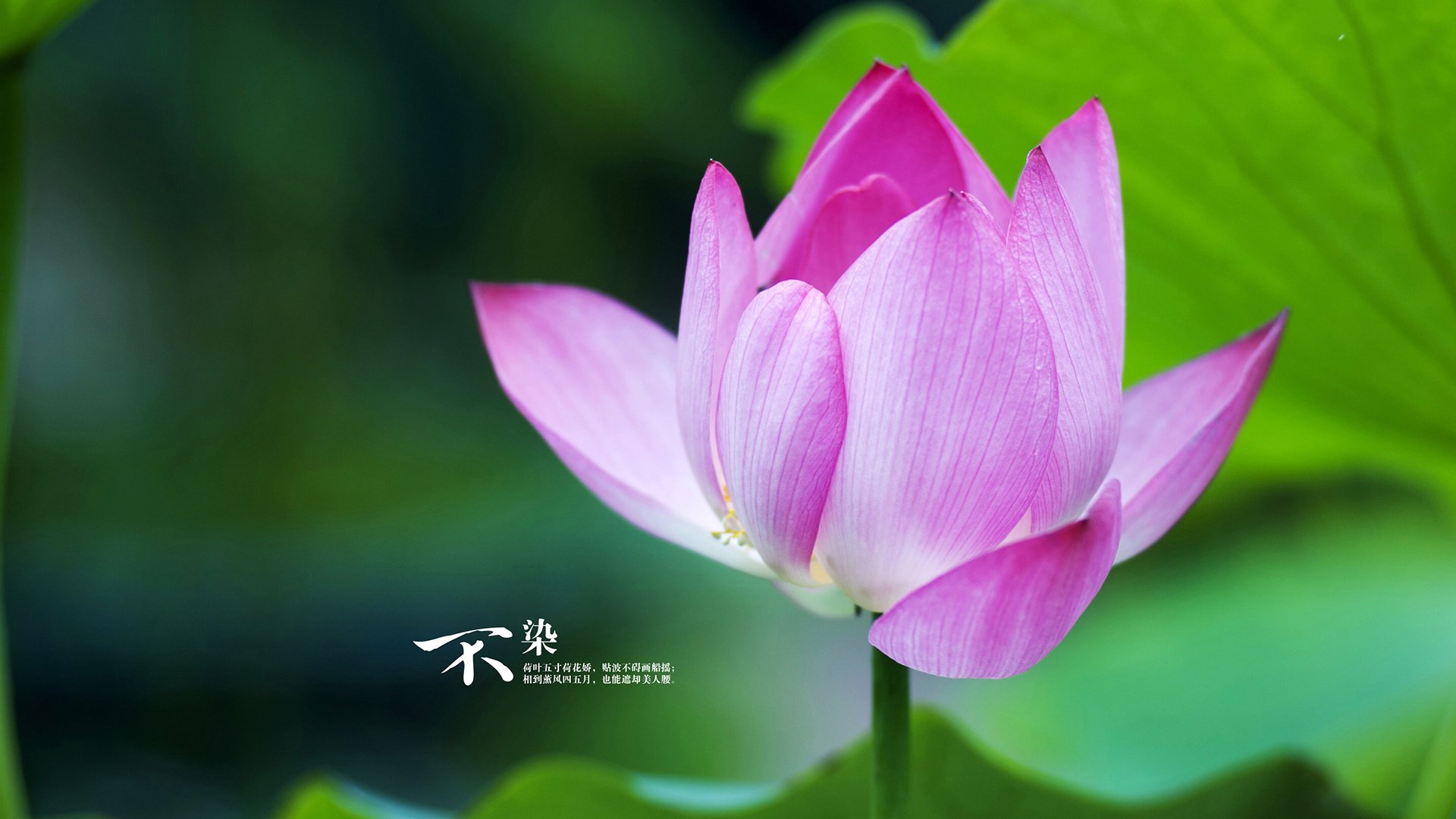 外教更迭频繁影响俱乐部长期战术磨合