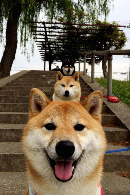 拜仁二线阵容表现强劲,为轮换提供保障,拜仁二队是什么