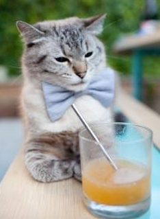 攀岩项目向特殊教育群体延伸普及，攀岩培训