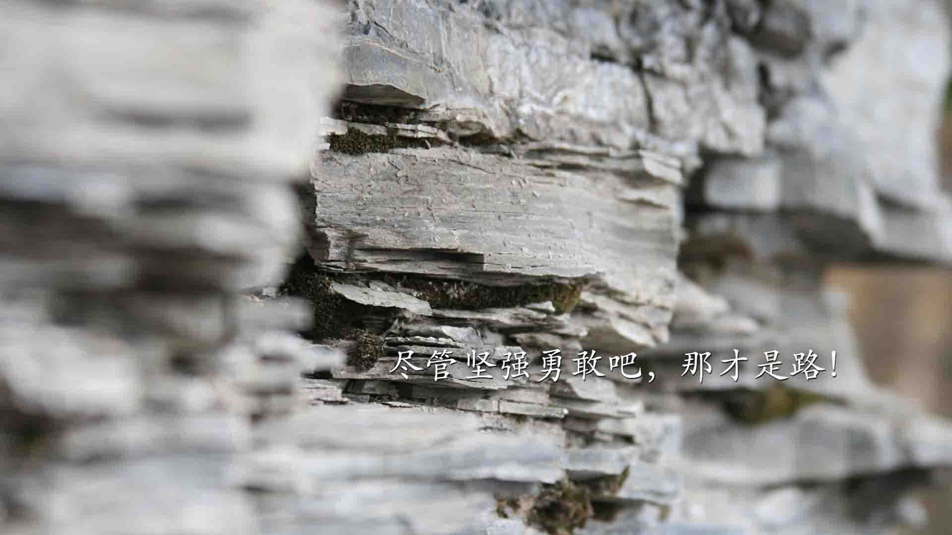 球员转会融入速度与球队掌控比赛节奏能力的关系，转会型球员