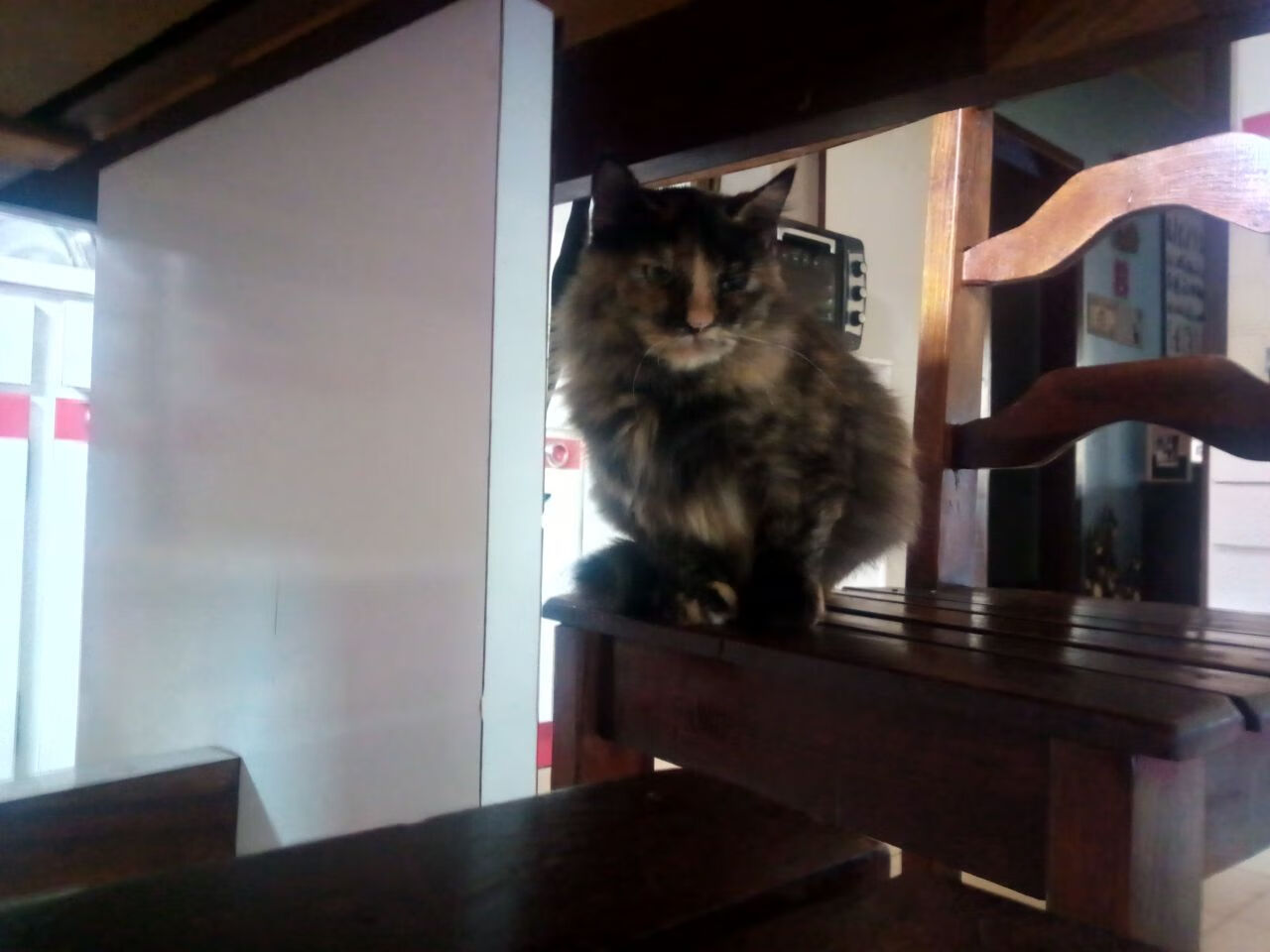 球员转会融入速度与球队掌控比赛节奏能力的关系，转会型球员