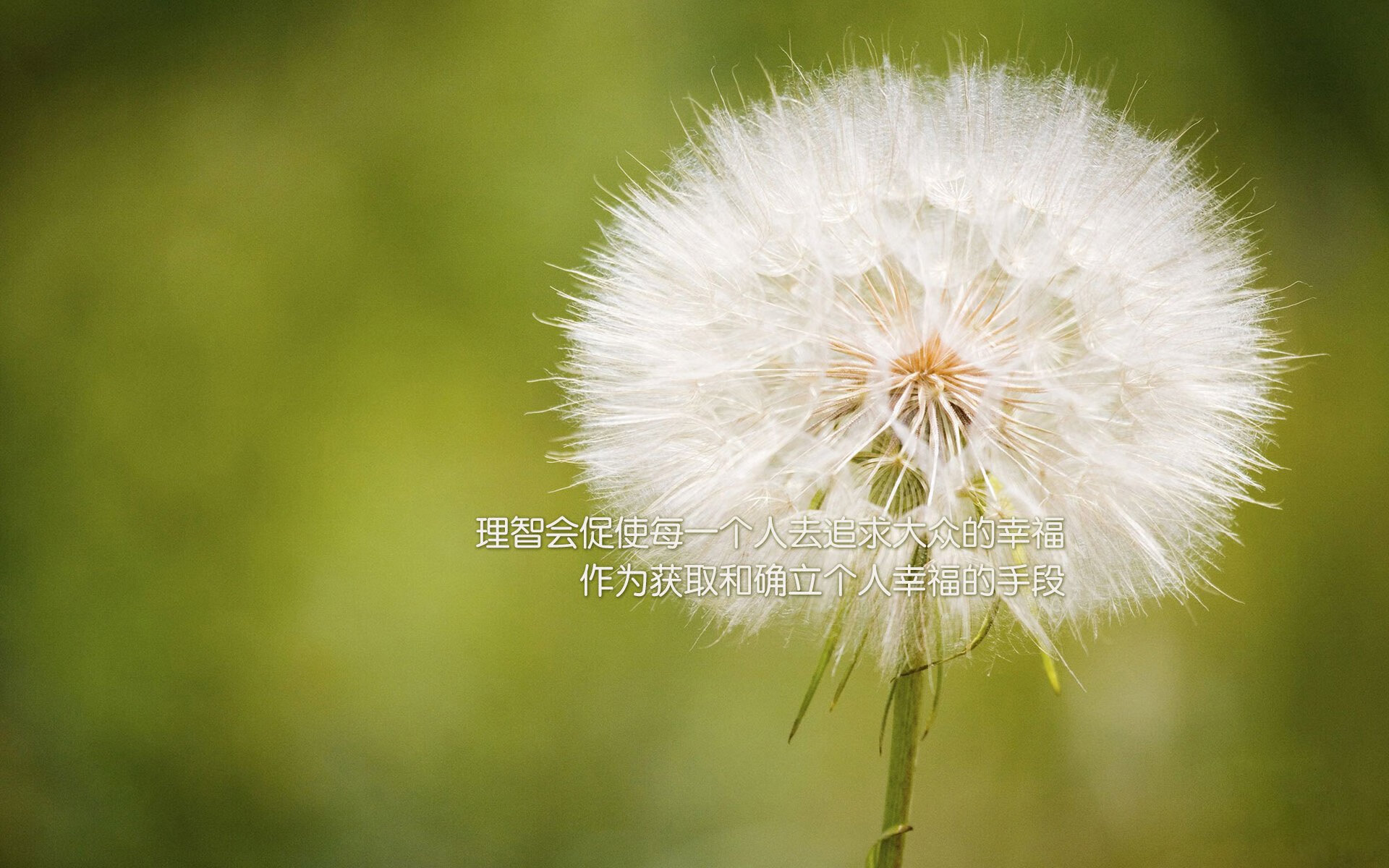 电子竞技专业课程改革融入心理与团队管理，电子竞技专业化利大于弊