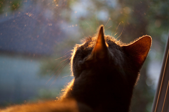 主帅注重细节管理安排球员逐项总结赛季表现找出提升空间,主帅是不是主教练