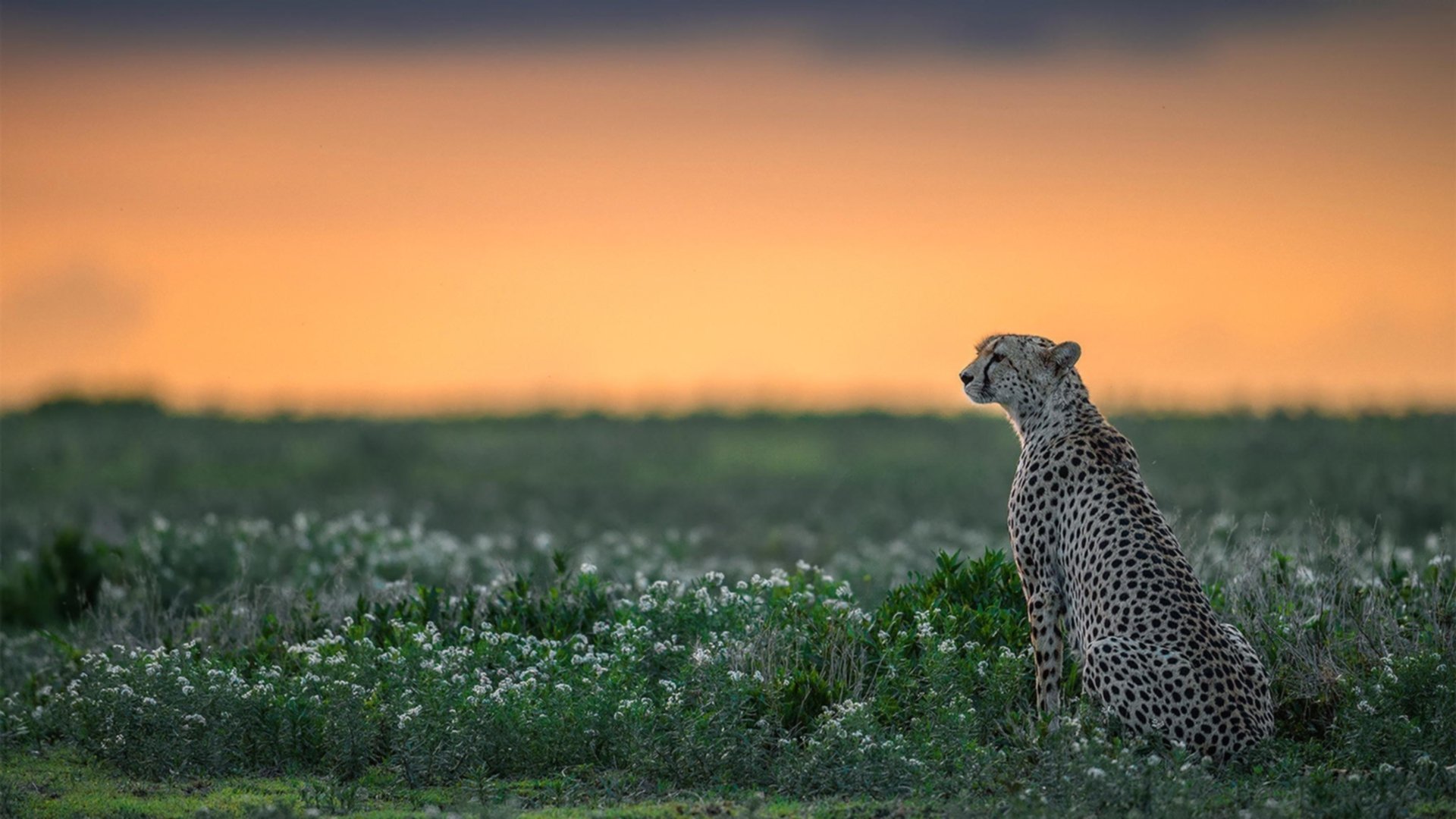 开yun体育-国家技术训练体系更趋系统与国际接轨