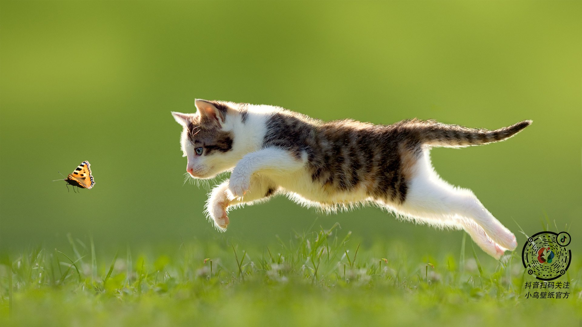 开云集团中国官网-女子国家队优化三线衔接机制形成稳定梯队结构