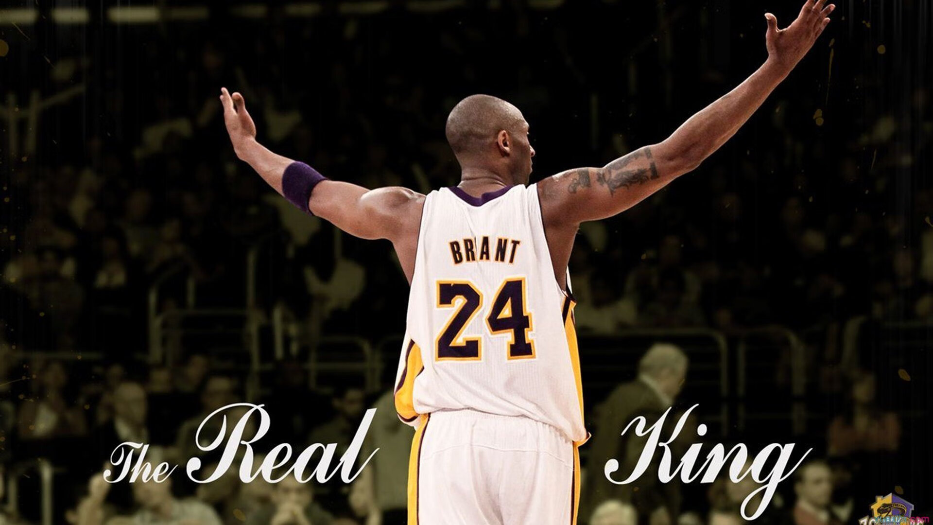 短道速滑名将范可新宣布复出，短道速滑冠军范可新